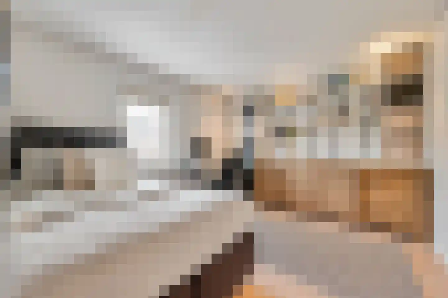 Prins Hendrikstraat 115 Zaandam thumbnail 32