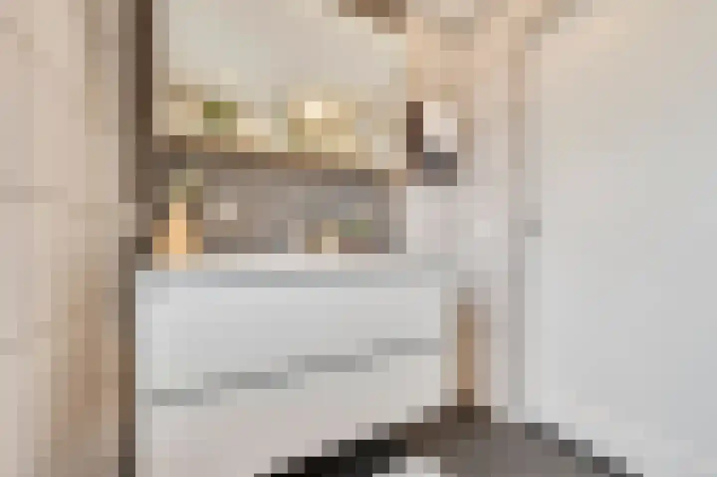 Prins Hendrikstraat 115 Zaandam thumbnail 35