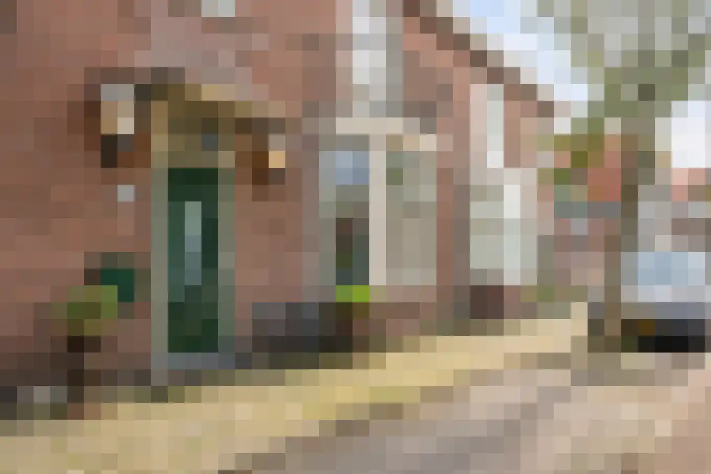 Prins Hendrikstraat 115 Zaandam thumbnail 42