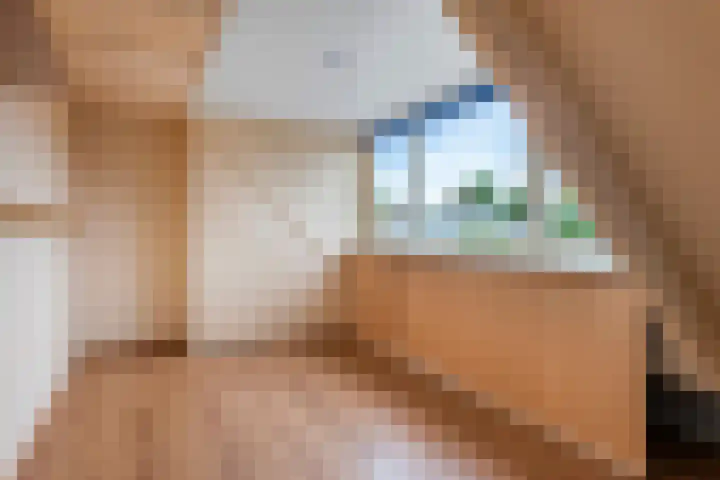 Prins Hendrikstraat 12 A Oosterbeek thumbnail 39