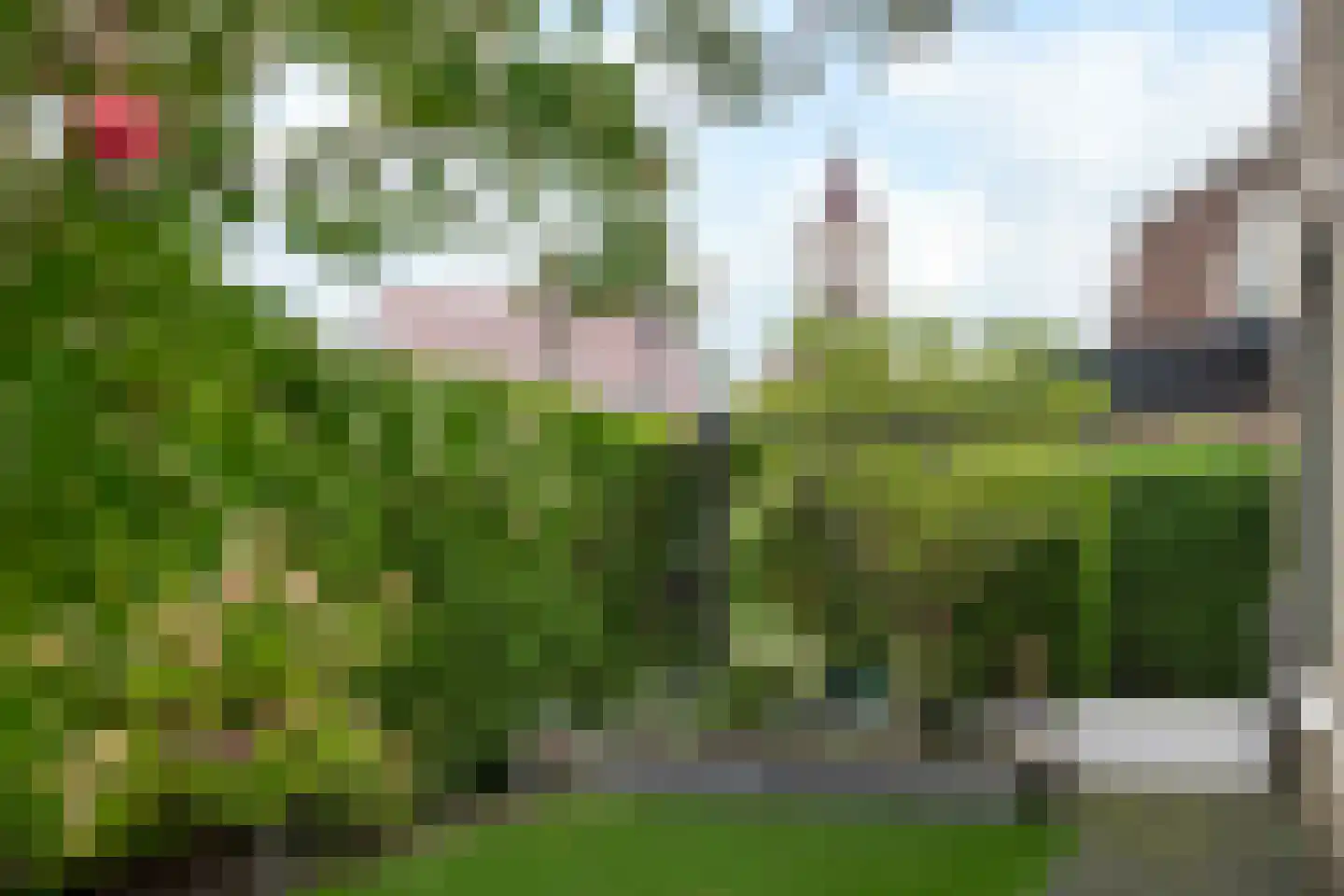Prins Hendrikstraat 12 A Oosterbeek thumbnail 41