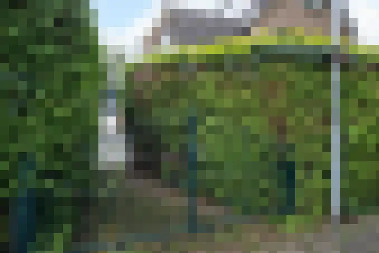 Prins Hendrikstraat 12 A Oosterbeek thumbnail 43
