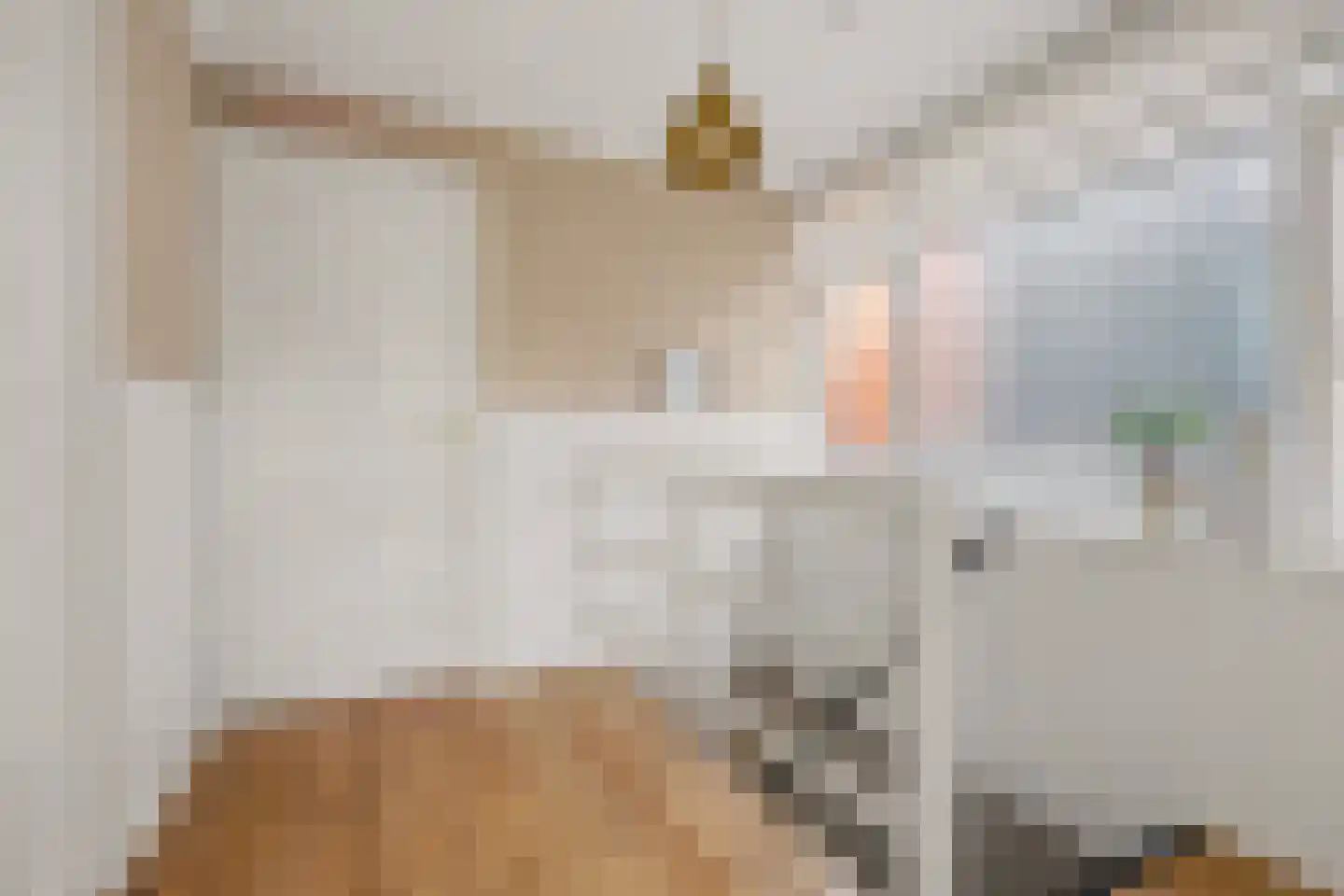 Prins Hendrikstraat 12 Oud-Beijerland thumbnail 19