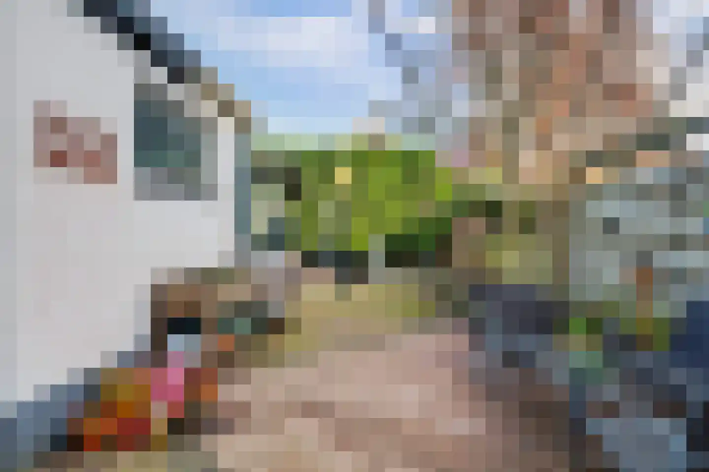 Prins Hendrikstraat 12 Oud-Beijerland thumbnail 4
