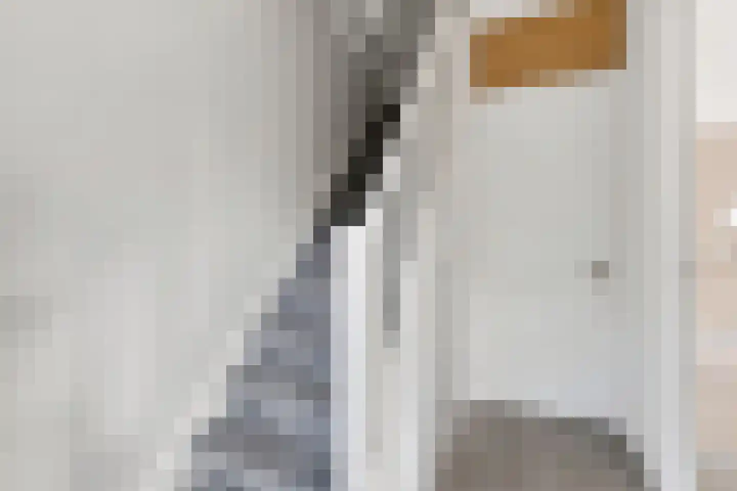 Prins Hendrikstraat 123 Zaandam thumbnail 37
