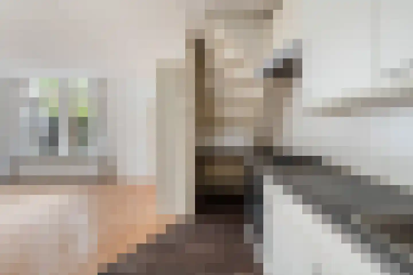 Prins Hendrikstraat 126 Alphen aan den Rijn thumbnail 21