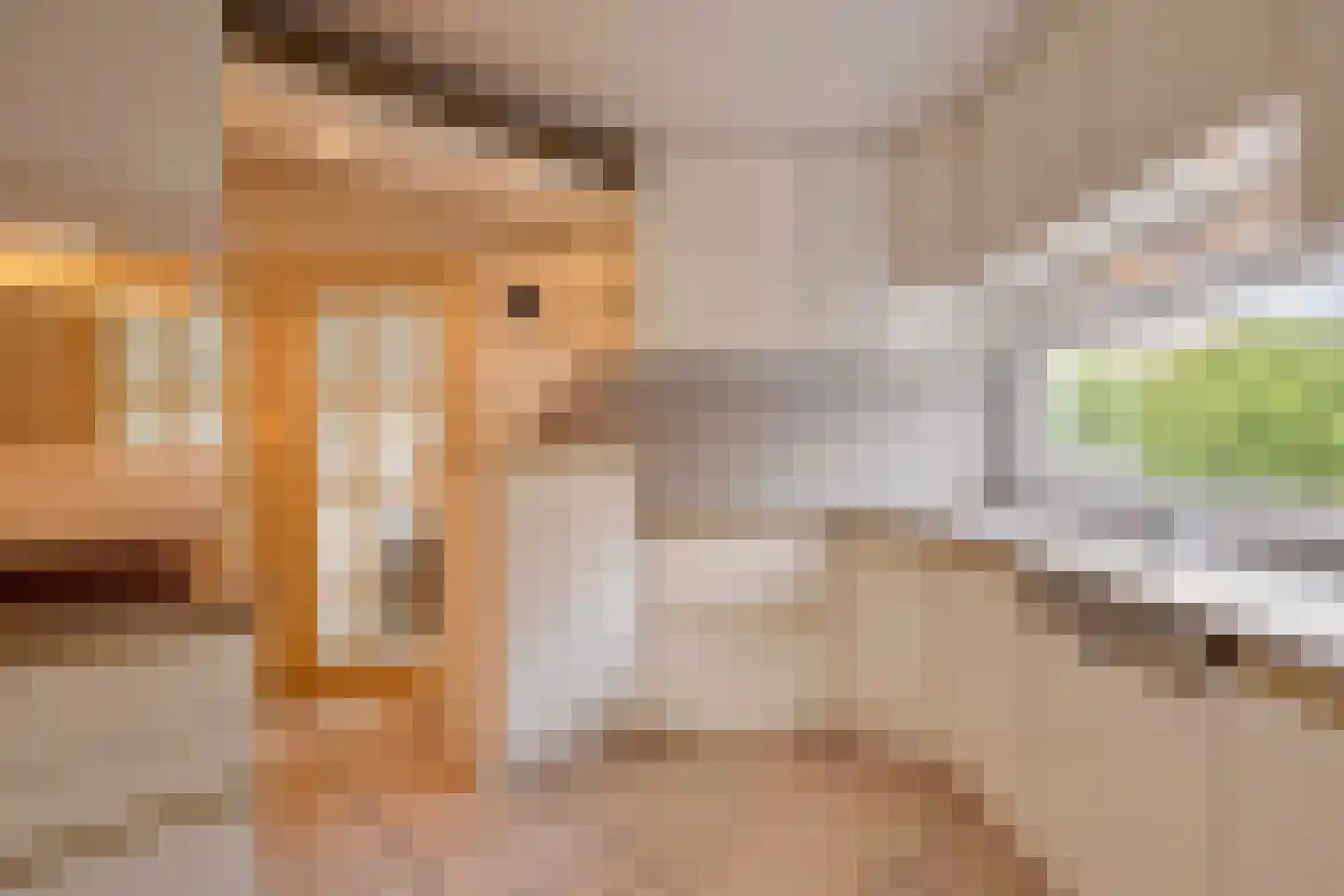 Prins Hendrikstraat 13 Eijsden thumbnail 17