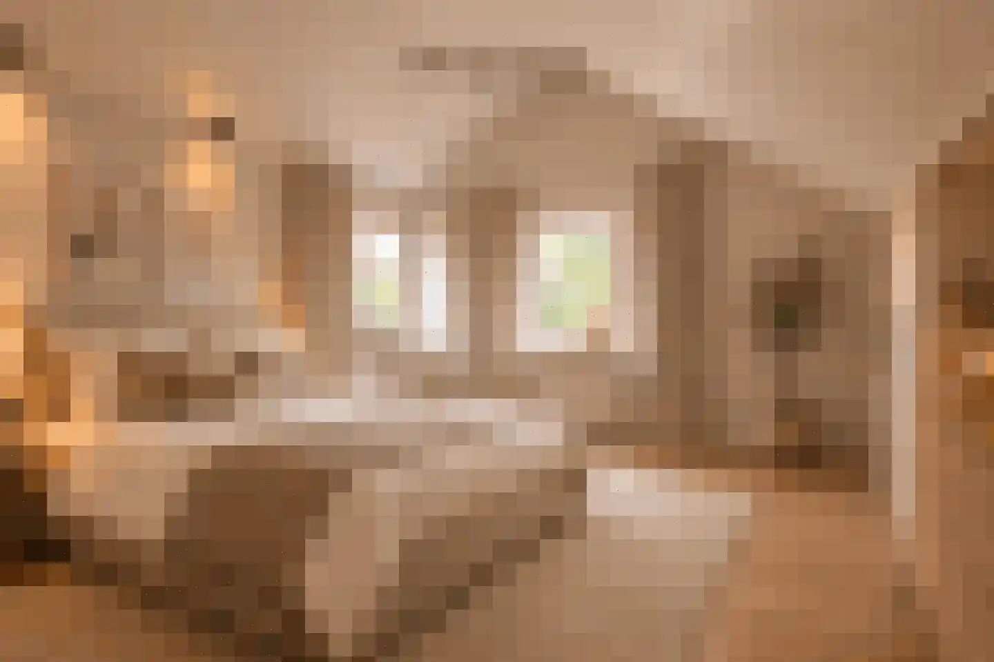Prins Hendrikstraat 13 Eijsden thumbnail 23