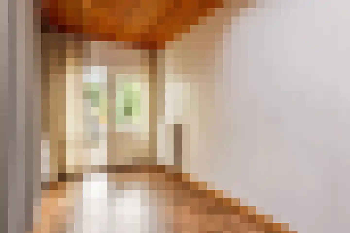 Prins Hendrikstraat 13 Eijsden thumbnail 38
