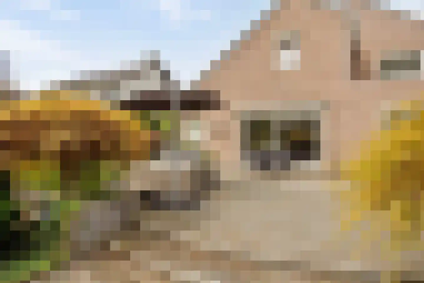 Prins Hendrikstraat 13 Eijsden thumbnail 44