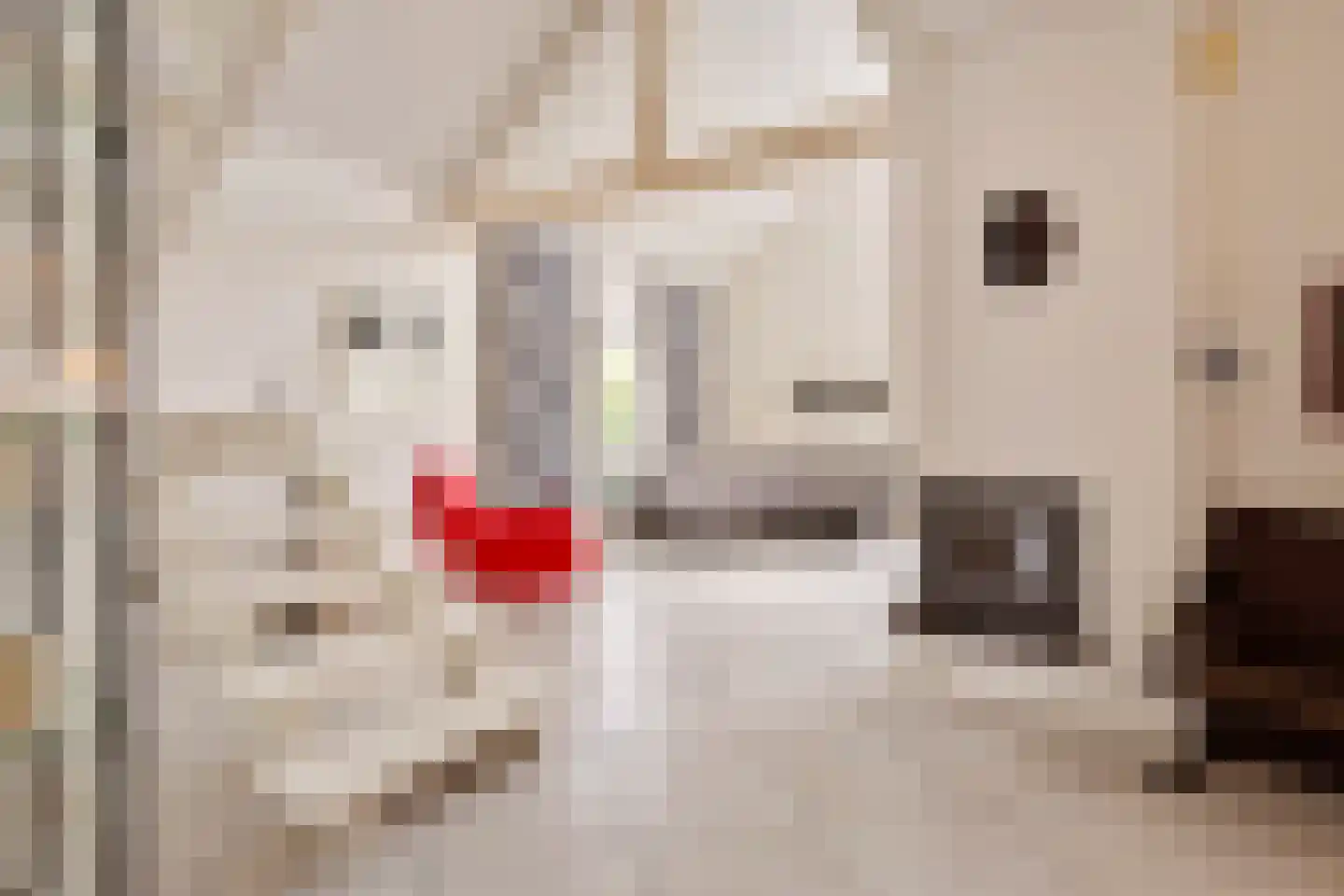 Prins Hendrikstraat 13 Eijsden thumbnail 6