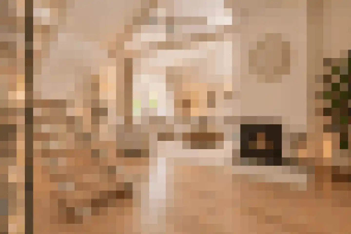 Prins Hendrikstraat 13 Eijsden thumbnail 7