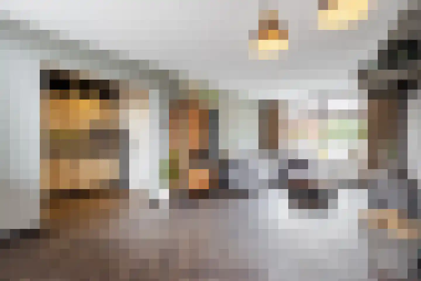 Prins Hendrikstraat 13 Groot-Ammers thumbnail 13