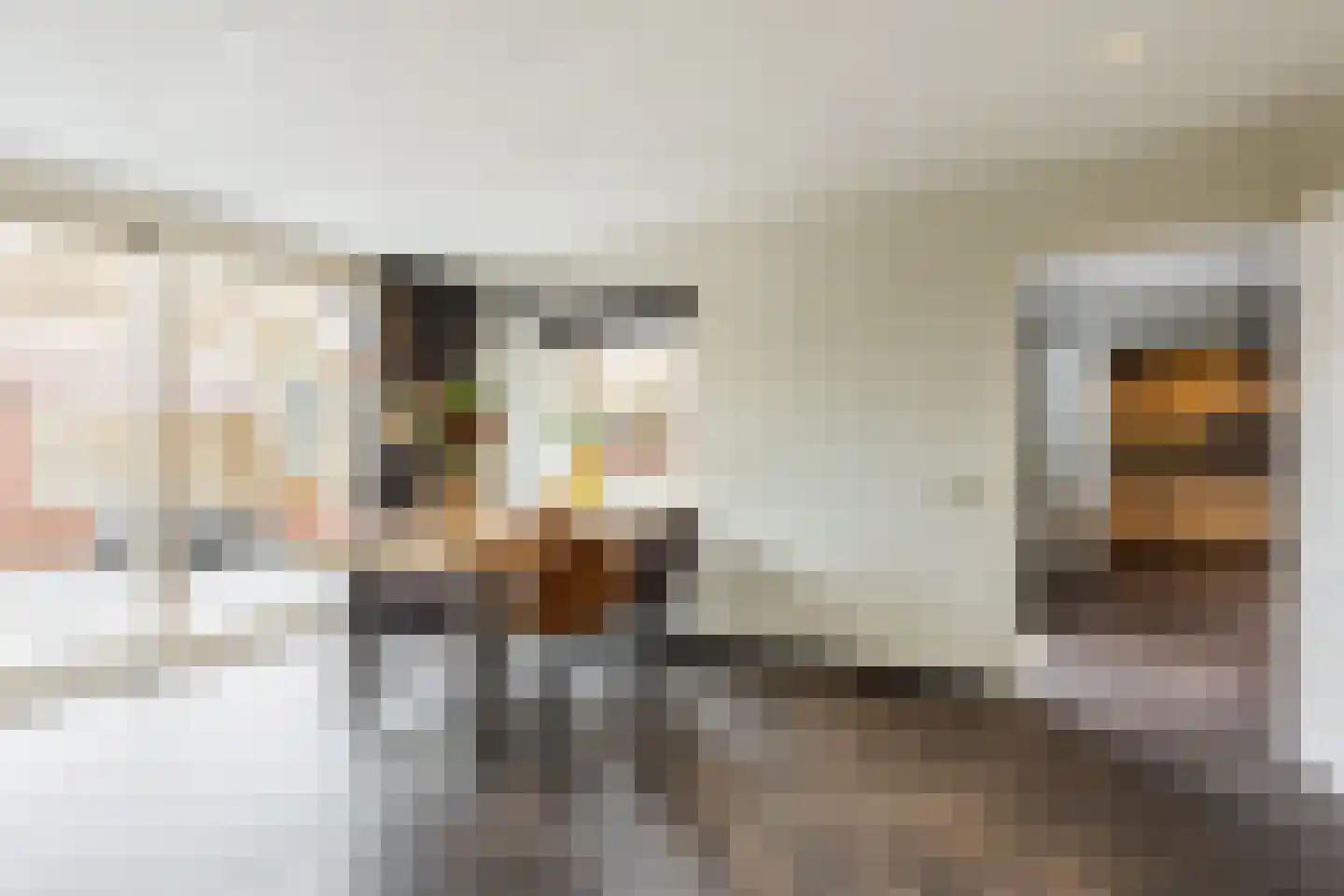 Prins Hendrikstraat 13 Groot-Ammers thumbnail 17