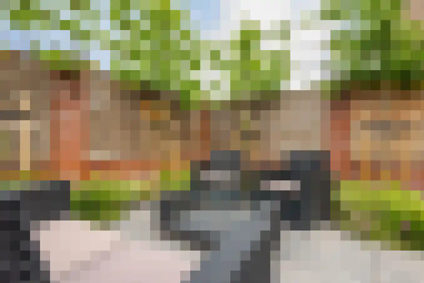 Prins Hendrikstraat 13 Groot-Ammers thumbnail 31