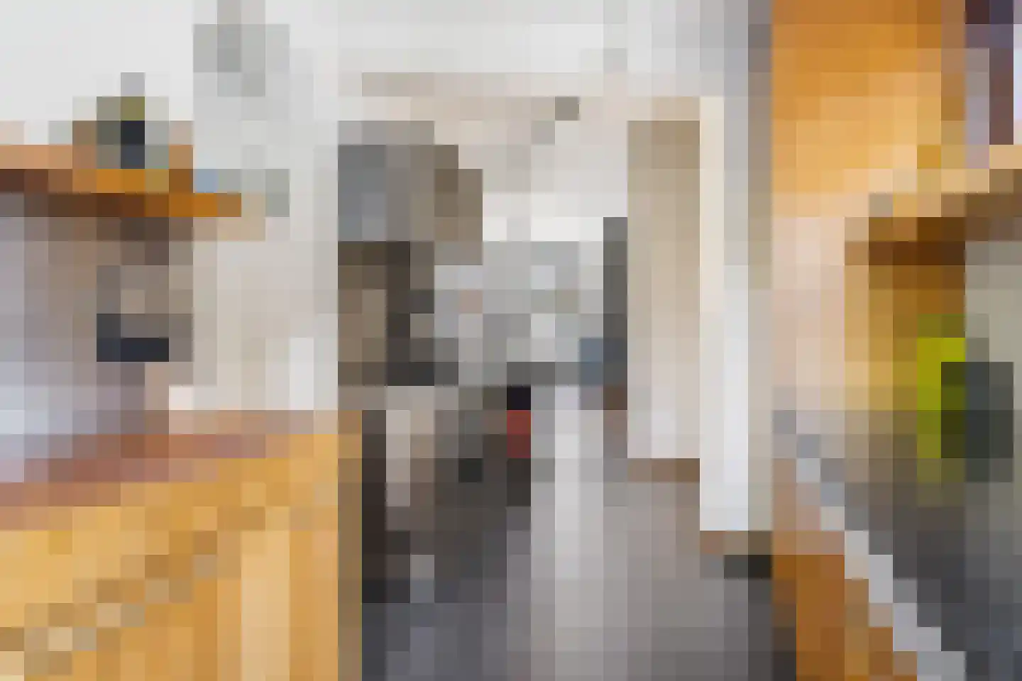 Prins Hendrikstraat 14 Breda thumbnail 19