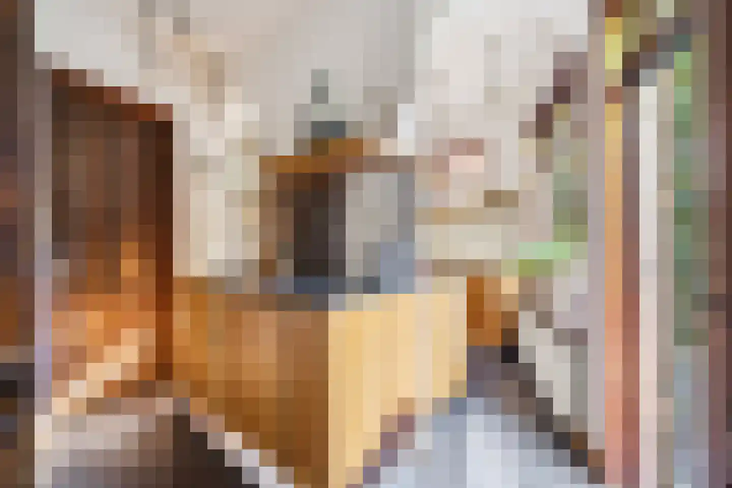 Prins Hendrikstraat 14 Breda thumbnail 20