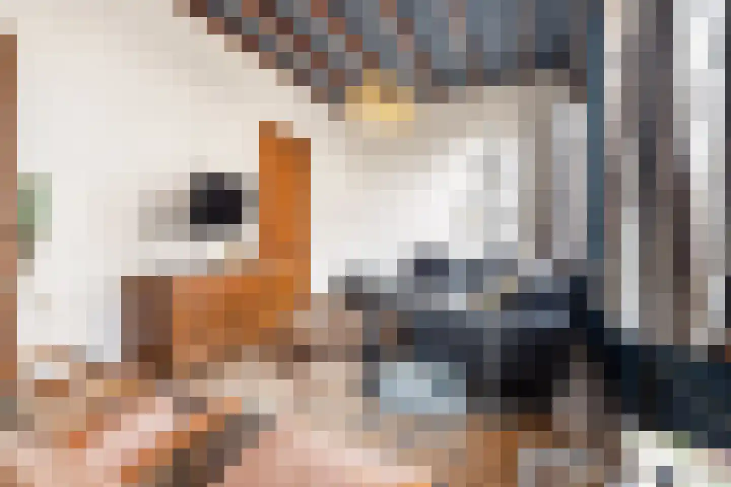 Prins Hendrikstraat 14 Breda thumbnail 25
