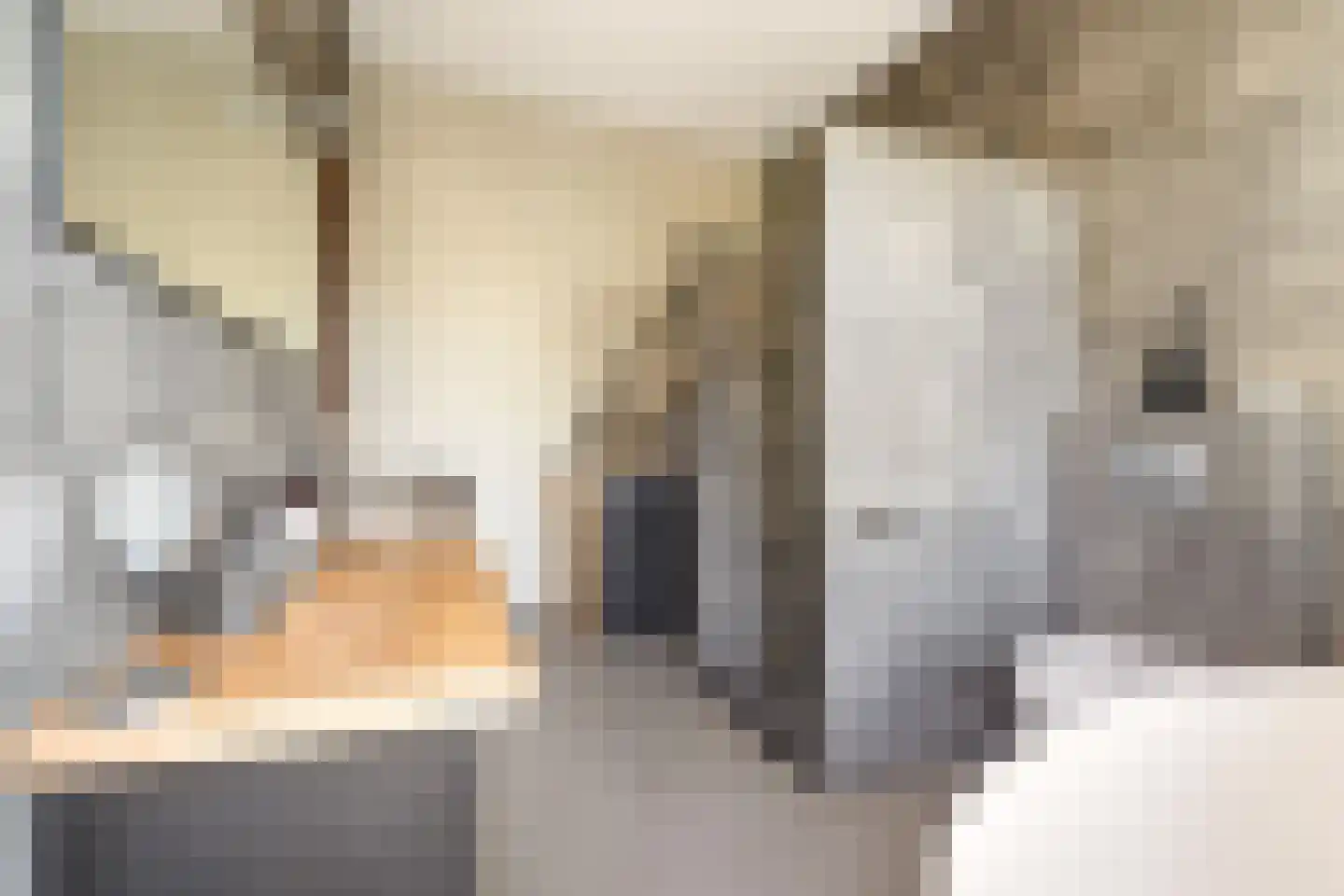 Prins Hendrikstraat 14 Breda thumbnail 31