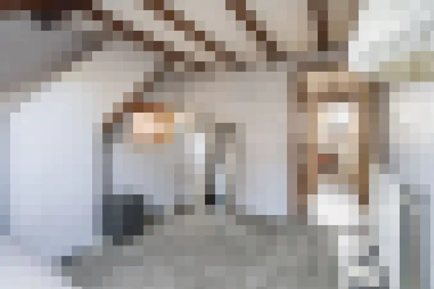 Prins Hendrikstraat 14 Breda thumbnail 42
