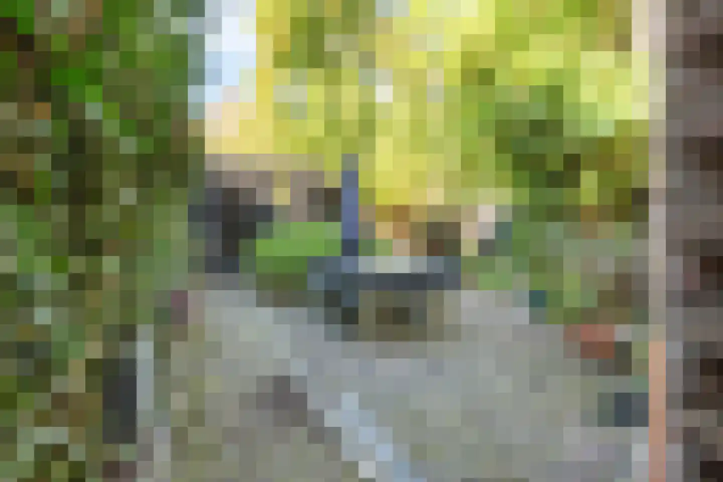 Prins Hendrikstraat 14 Breda thumbnail 43
