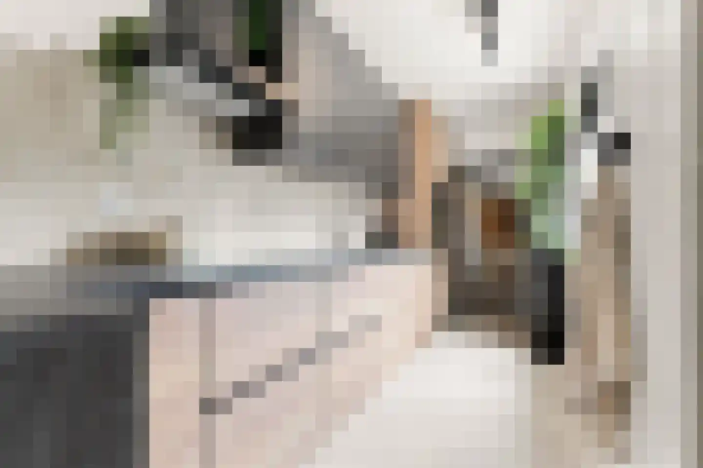 Prins Hendrikstraat 14 Koog aan de Zaan thumbnail 11
