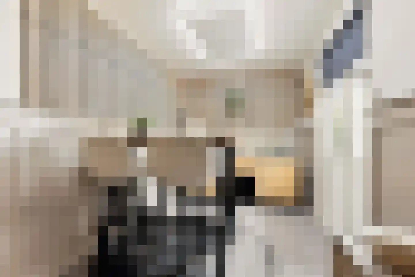 Prins Hendrikstraat 14 Koog aan de Zaan thumbnail 12