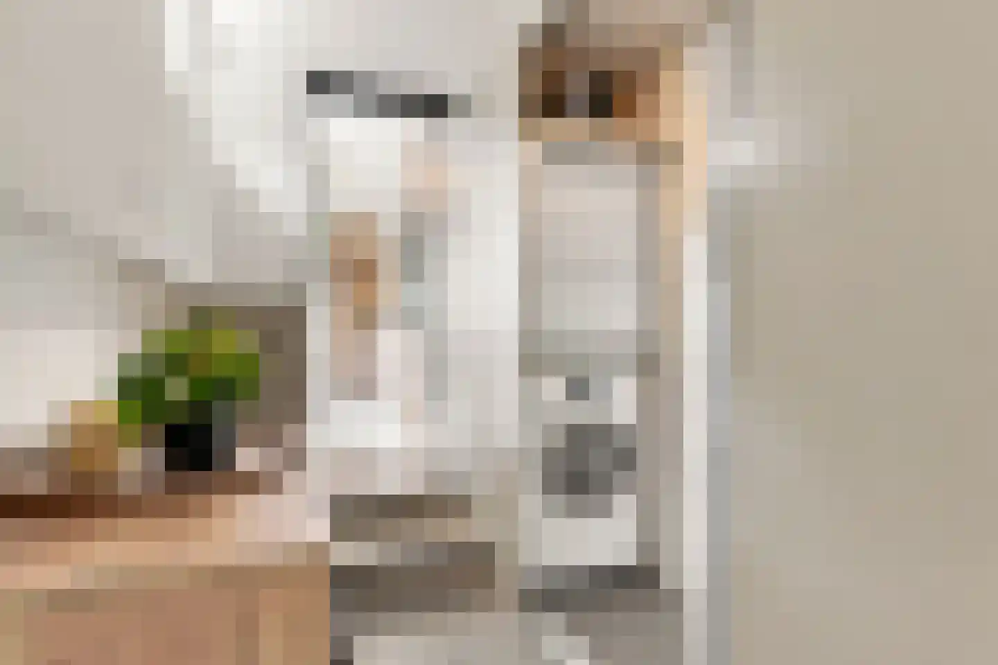 Prins Hendrikstraat 14 Koog aan de Zaan thumbnail 14