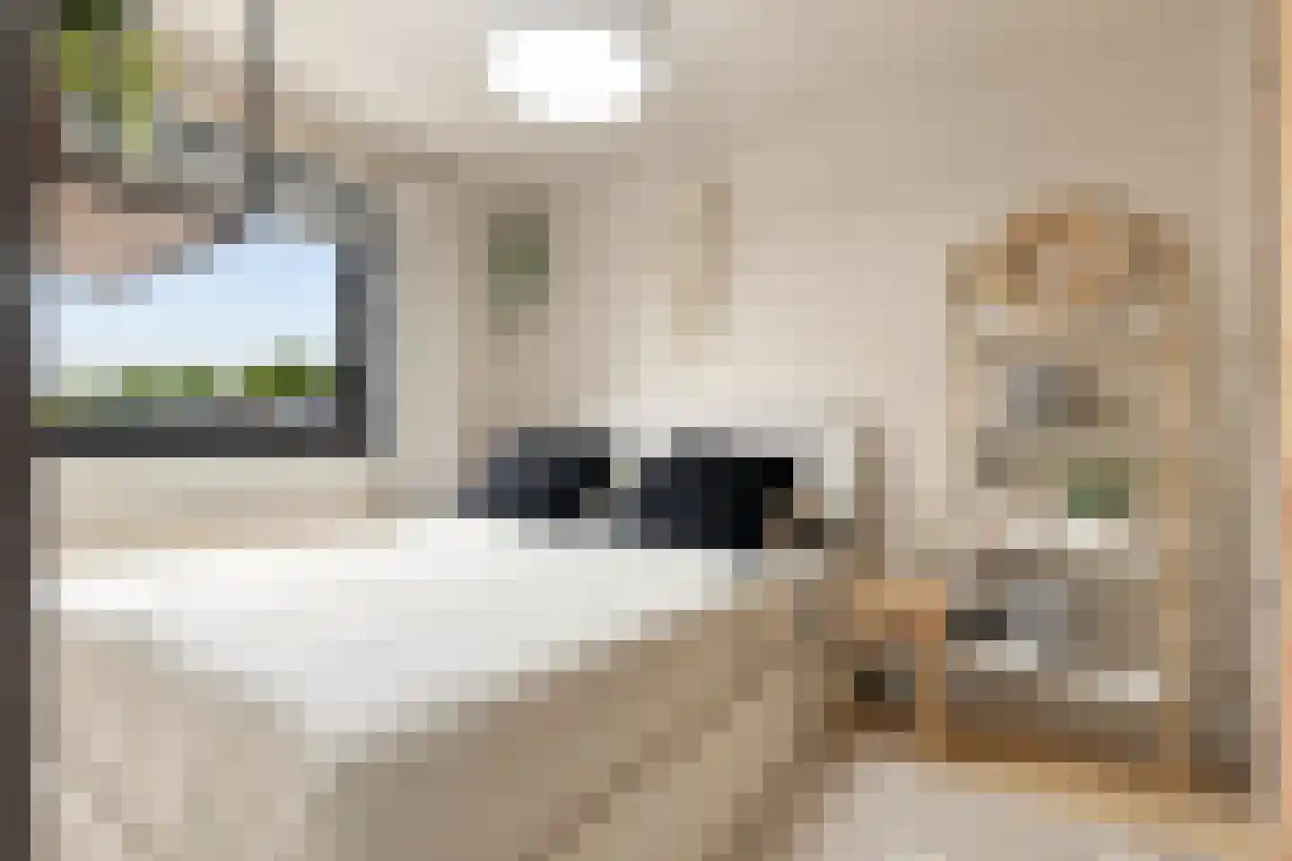 Prins Hendrikstraat 14 Koog aan de Zaan thumbnail 17