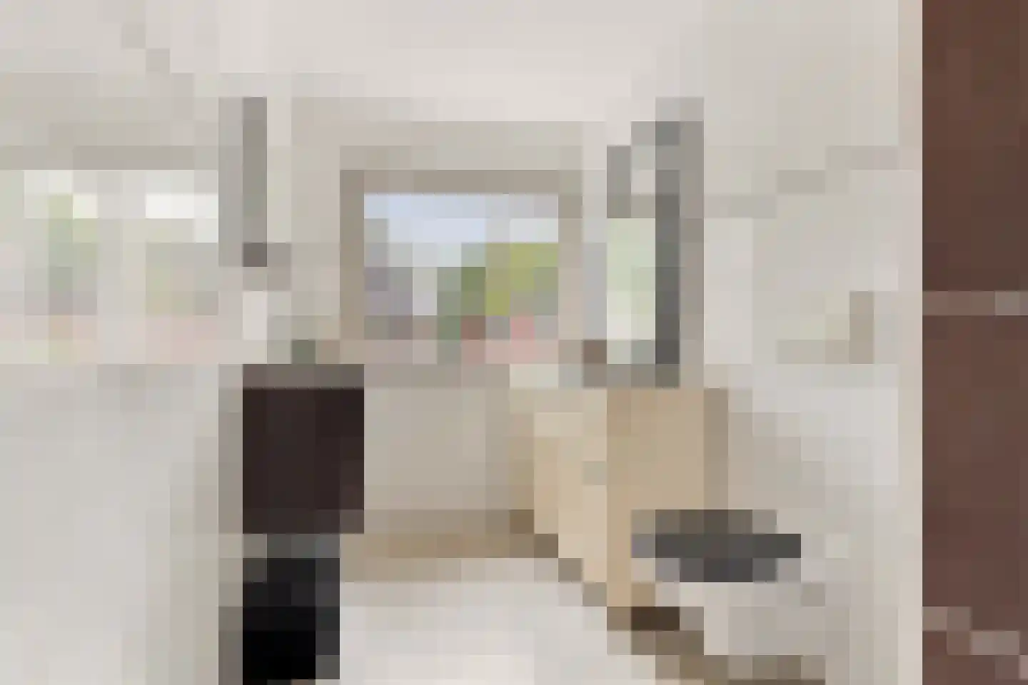 Prins Hendrikstraat 14 Koog aan de Zaan thumbnail 19