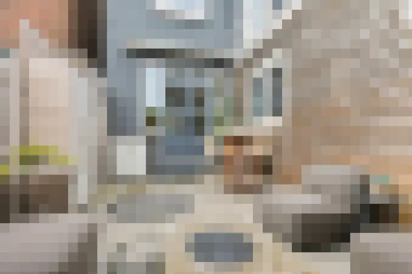 Prins Hendrikstraat 14 Koog aan de Zaan thumbnail 26