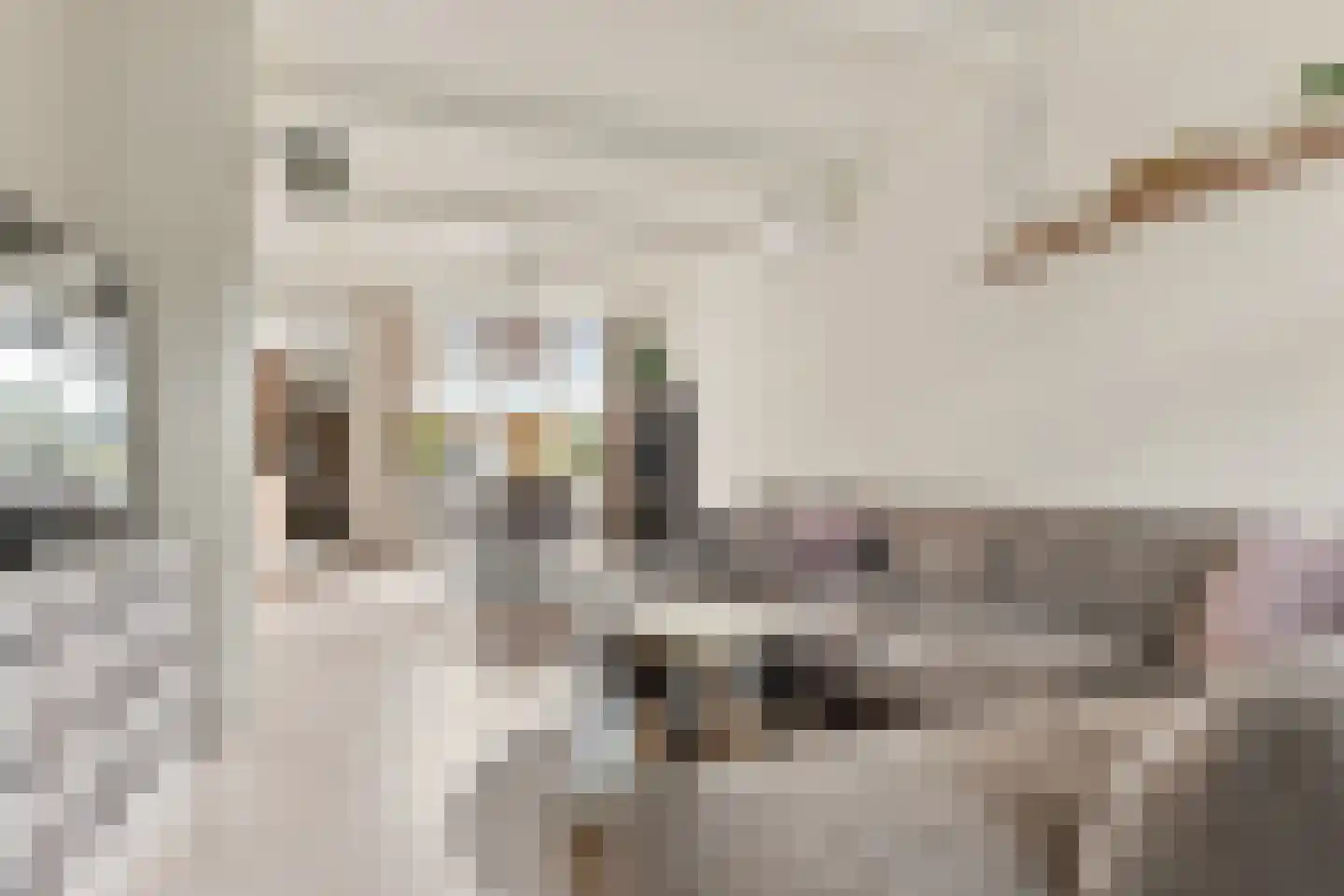 Prins Hendrikstraat 14 Koog aan de Zaan thumbnail 7