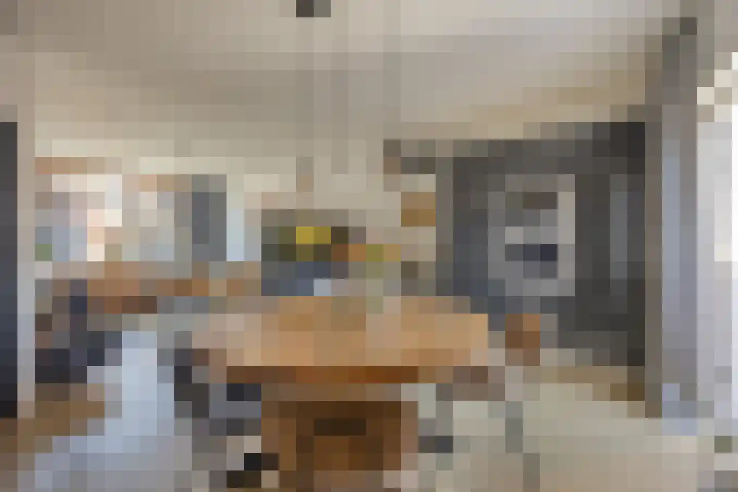 Prins Hendrikstraat 14 Sint Philipsland thumbnail 12