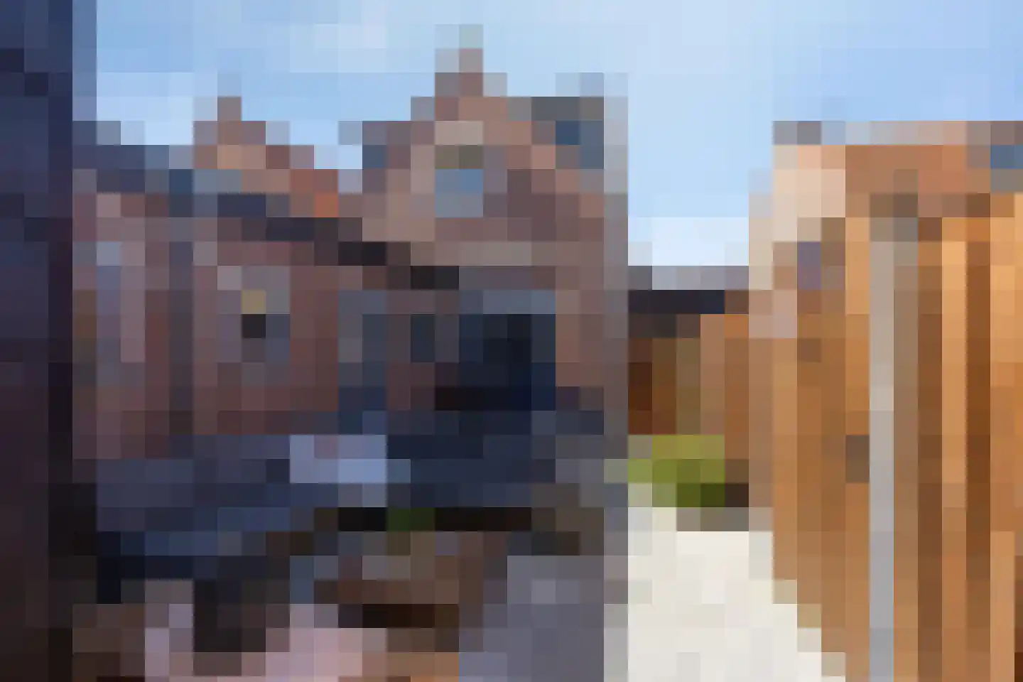 Prins Hendrikstraat 14 Sint Philipsland thumbnail 33