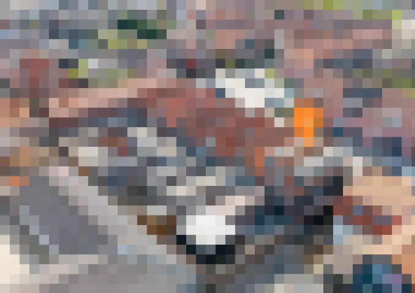 Prins Hendrikstraat 14 Sint Philipsland thumbnail 42