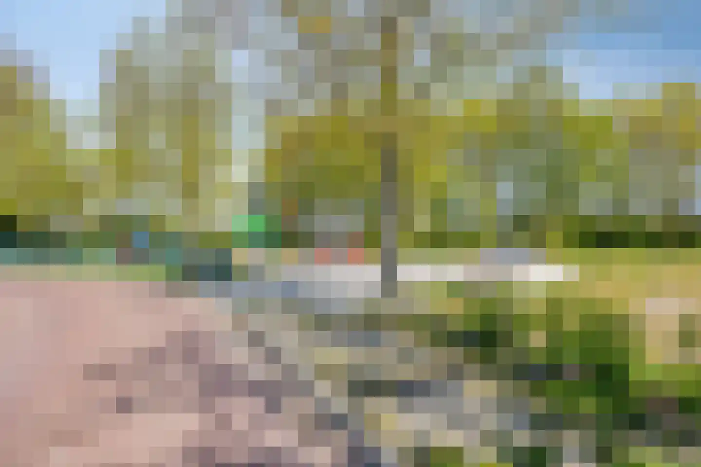 Prins Hendrikstraat 14 Sint Philipsland thumbnail 47