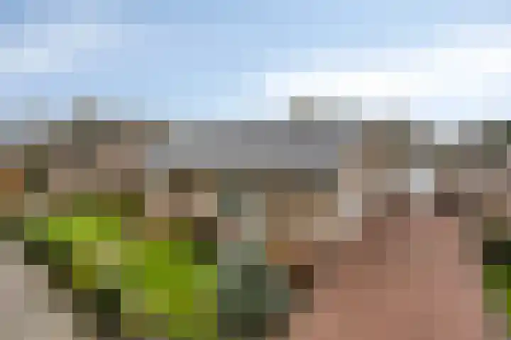 Prins Hendrikstraat 14 Wolvega thumbnail 24