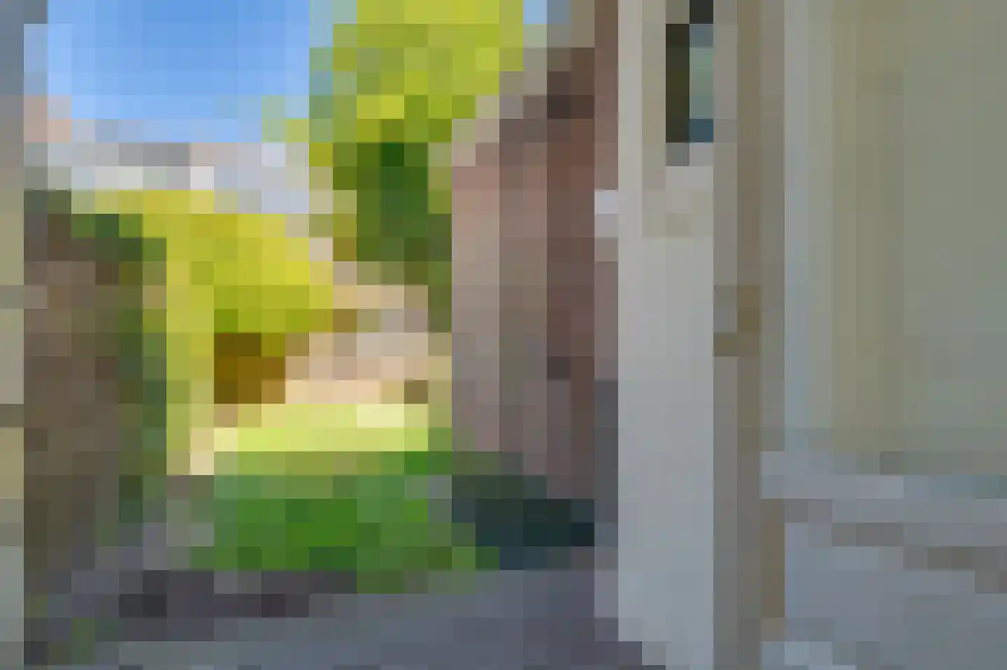 Prins Hendrikstraat 14 Zwolle thumbnail 11