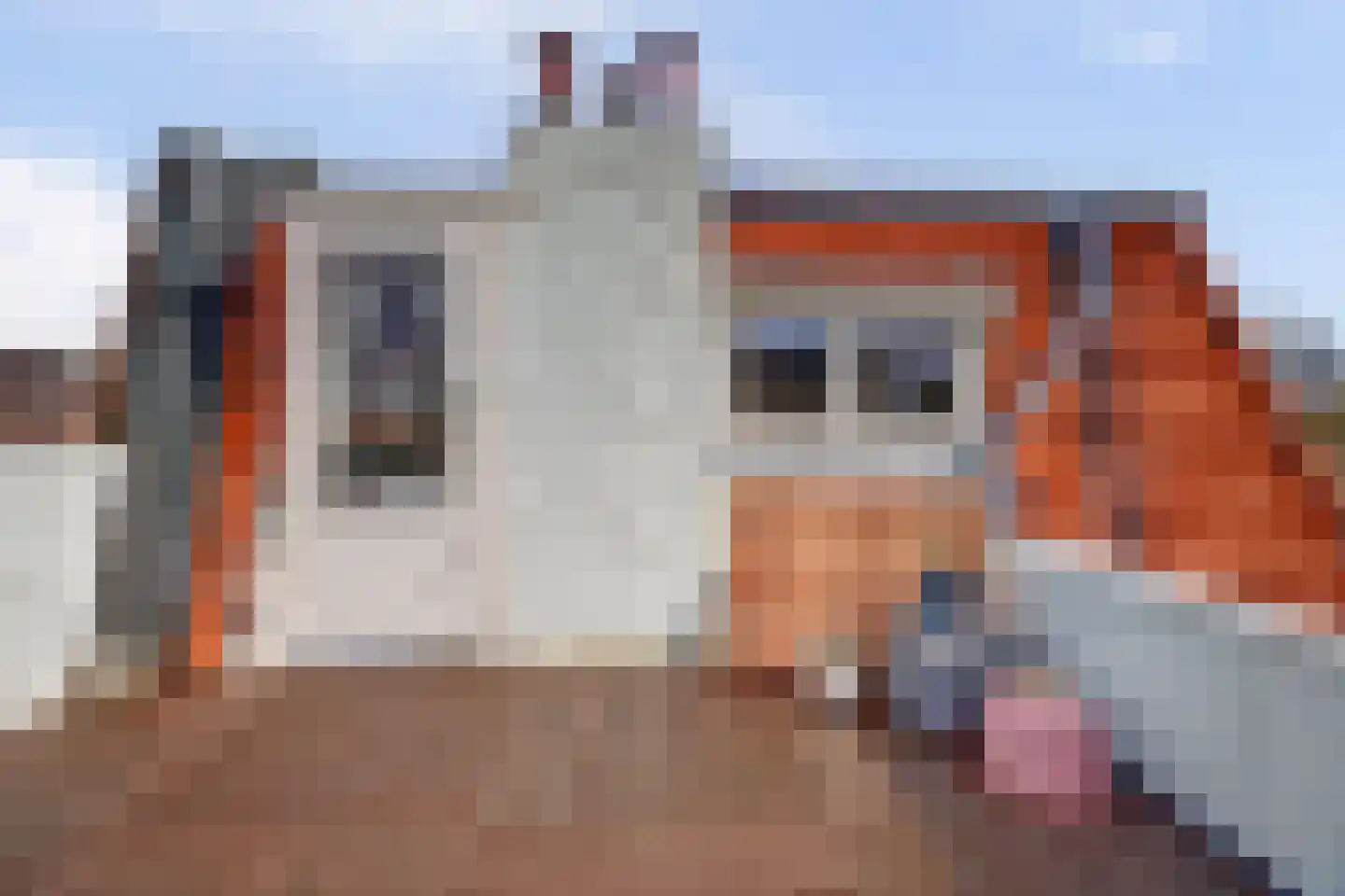 Prins Hendrikstraat 15 b Gouda thumbnail 33