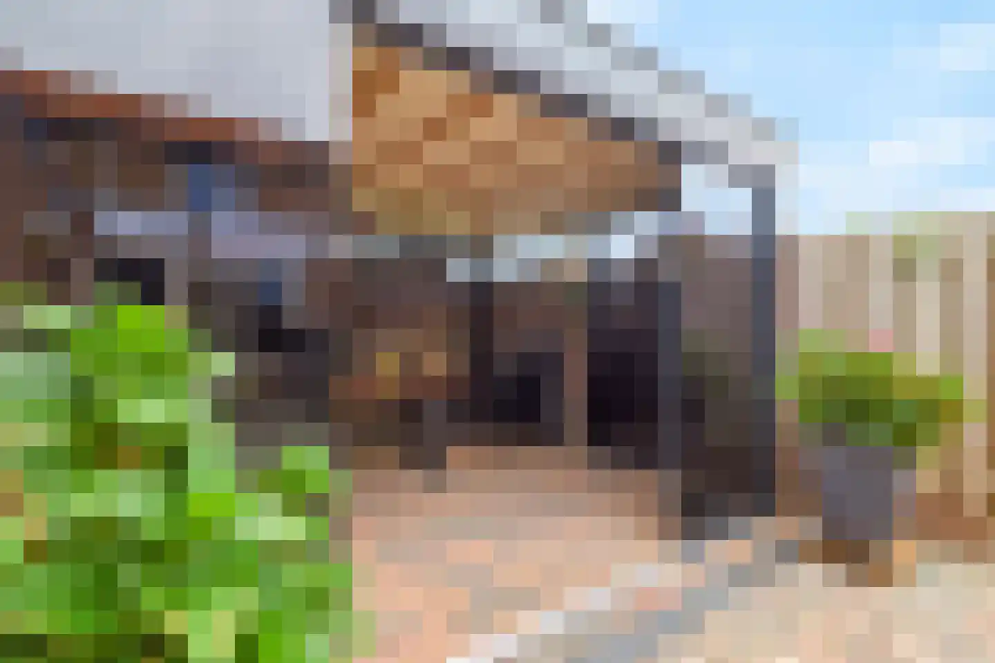 Prins Hendrikstraat 15 Grevenbicht thumbnail 34
