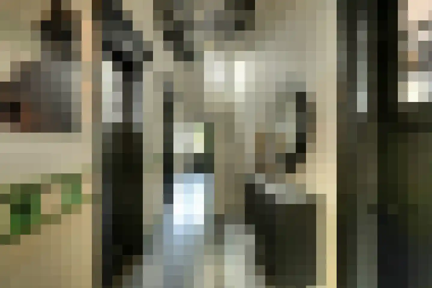 Prins Hendrikstraat 15 Raamsdonksveer thumbnail 11