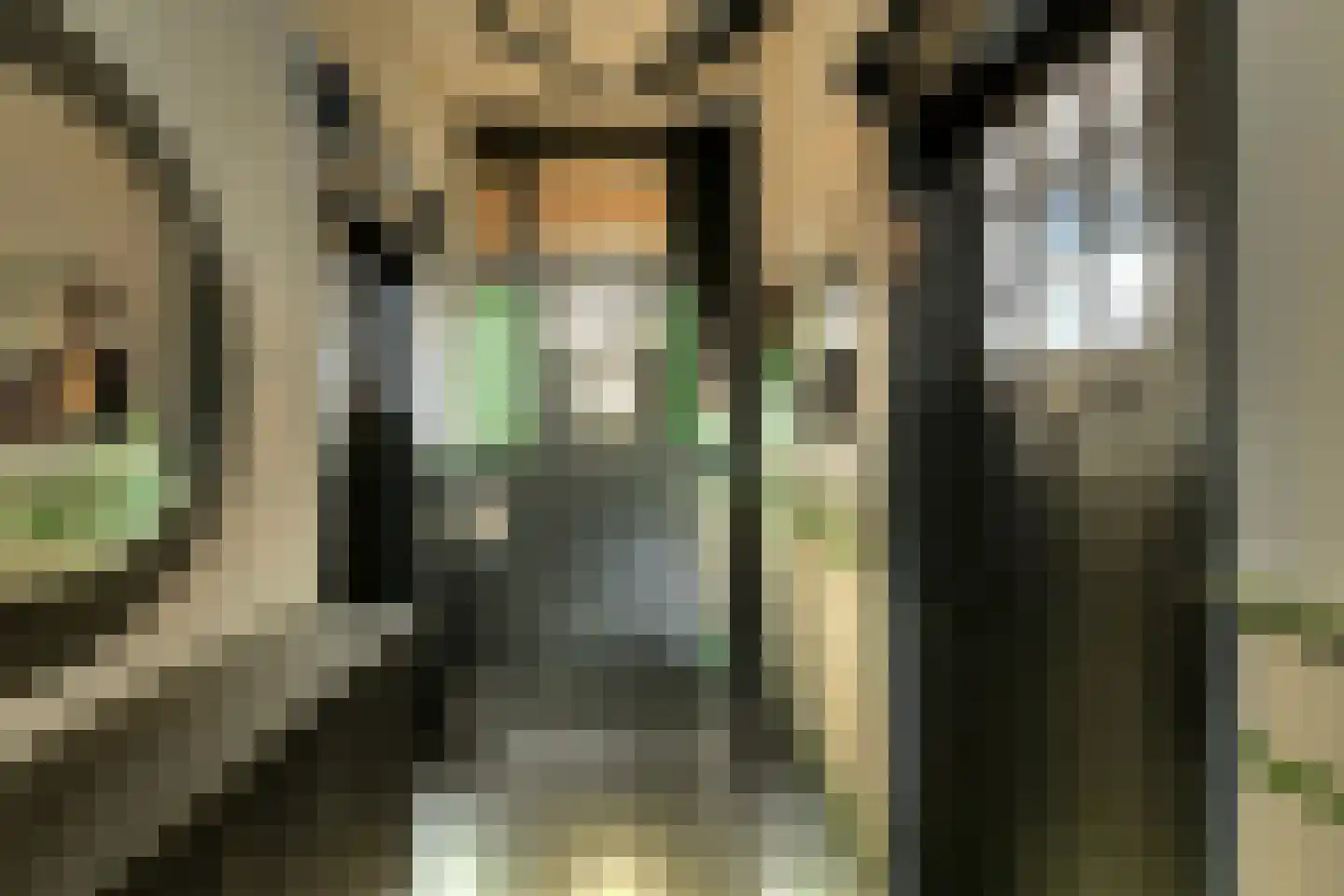 Prins Hendrikstraat 15 Raamsdonksveer thumbnail 12