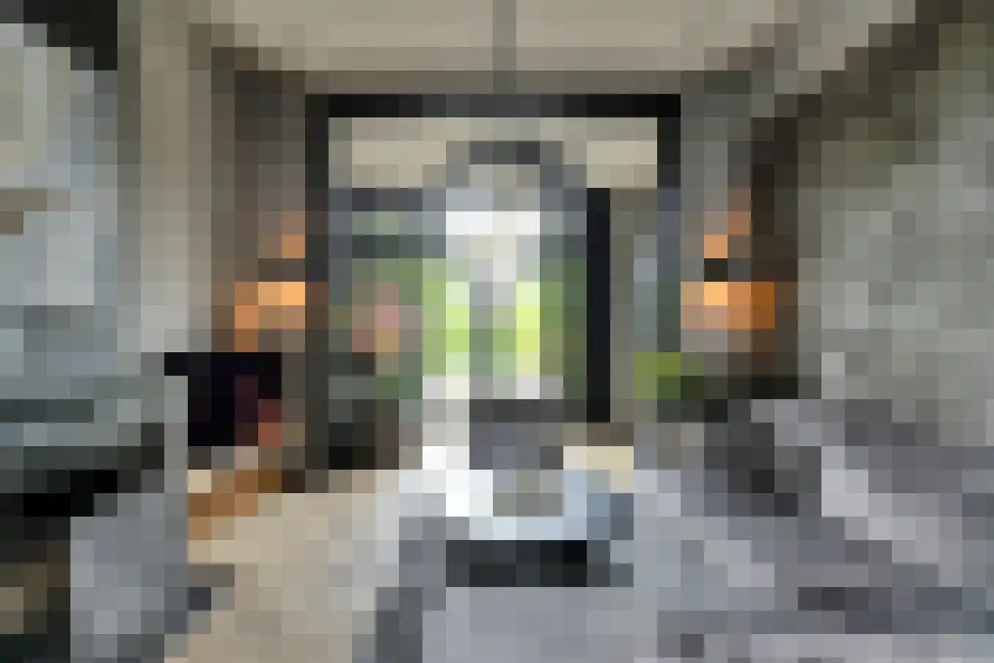 Prins Hendrikstraat 15 Raamsdonksveer thumbnail 13