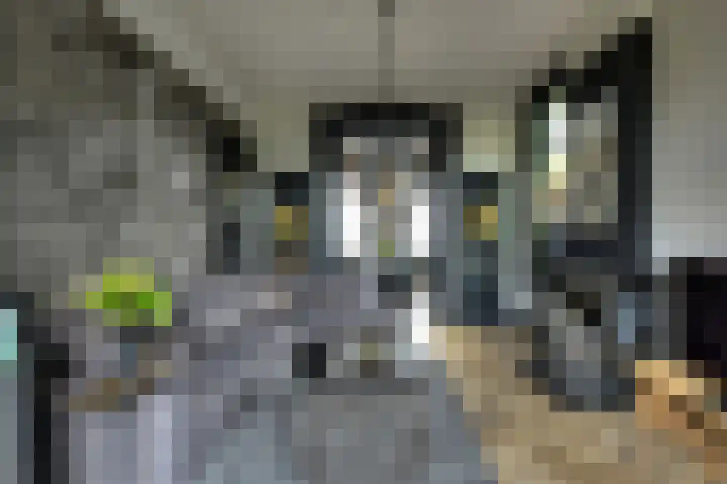 Prins Hendrikstraat 15 Raamsdonksveer thumbnail 17