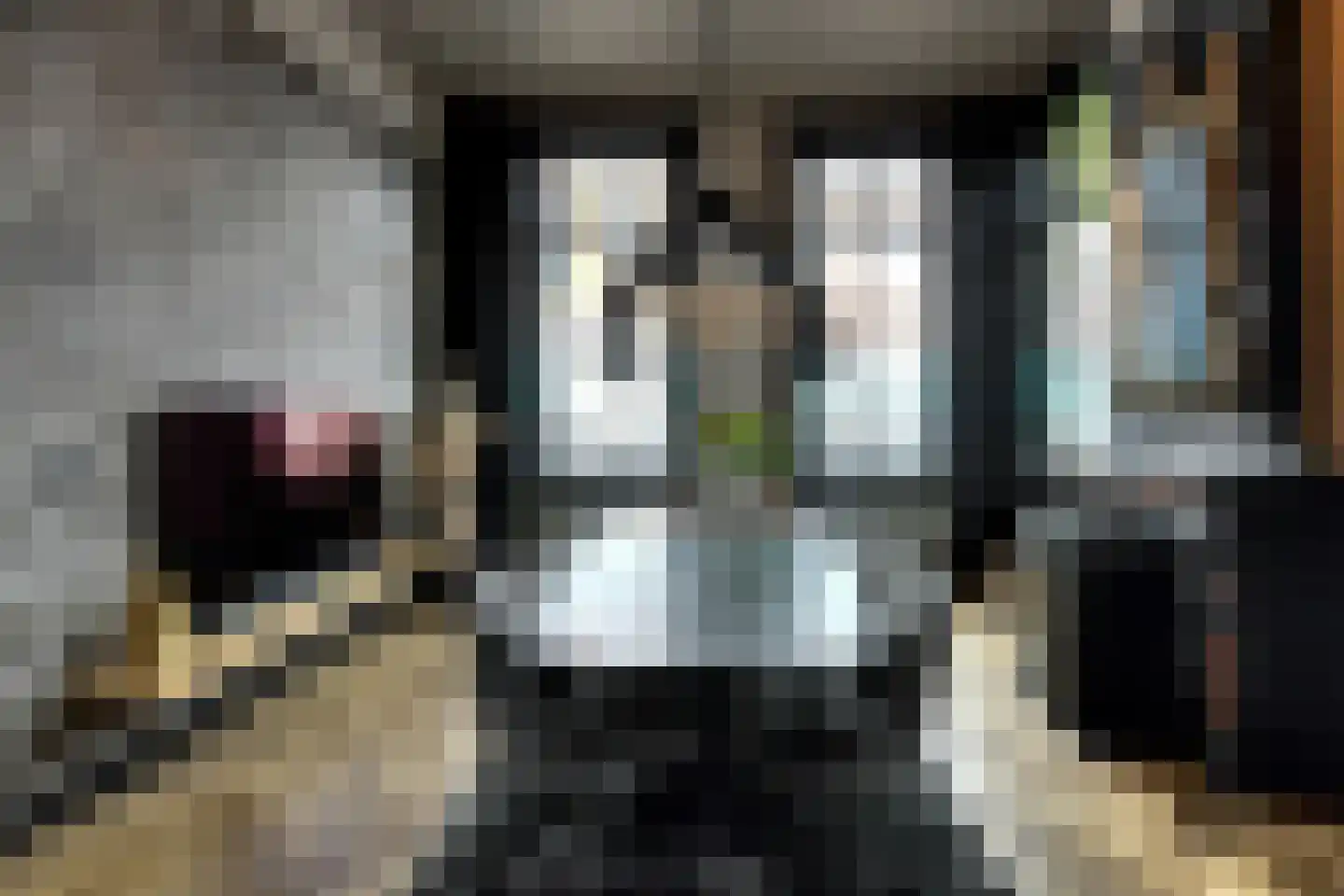 Prins Hendrikstraat 15 Raamsdonksveer thumbnail 18