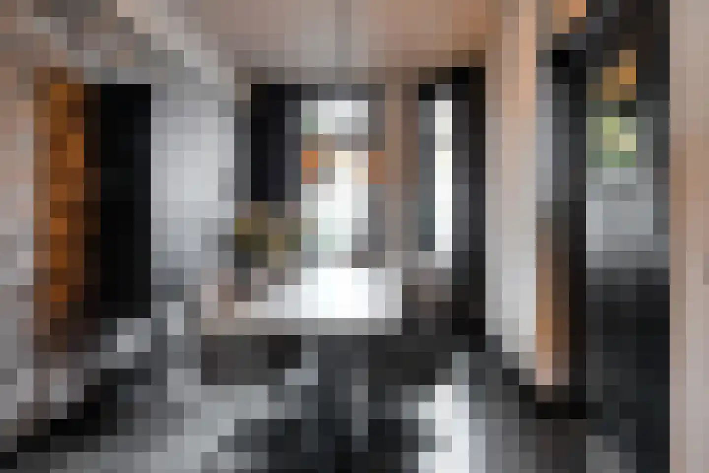 Prins Hendrikstraat 15 Raamsdonksveer thumbnail 25