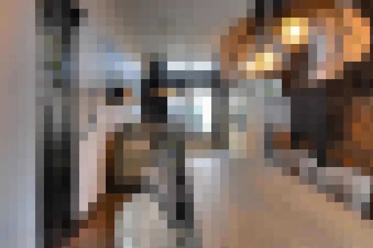 Prins Hendrikstraat 15 Raamsdonksveer thumbnail 26
