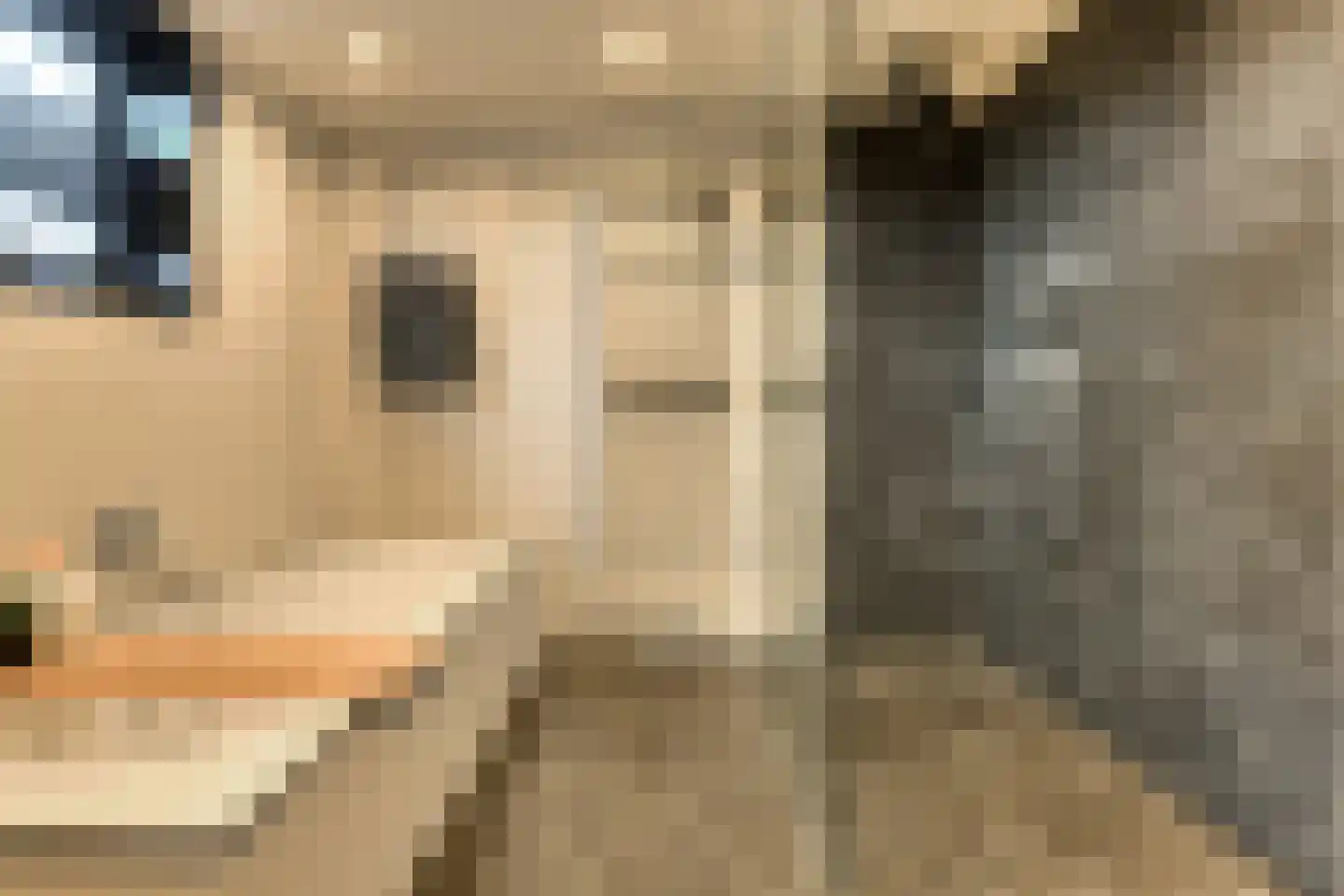 Prins Hendrikstraat 15 Raamsdonksveer thumbnail 37