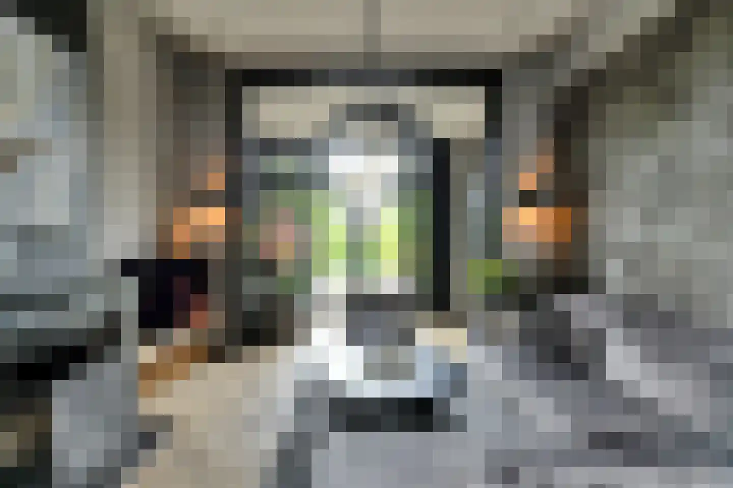 Prins Hendrikstraat 15 Raamsdonksveer thumbnail 4