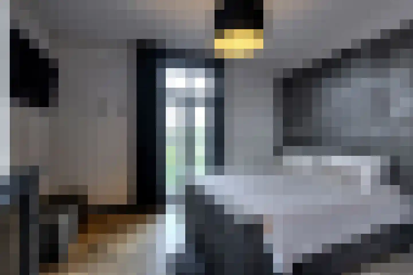 Prins Hendrikstraat 15 Raamsdonksveer thumbnail 41